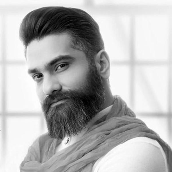 کنسرت های علی زند وکیلی